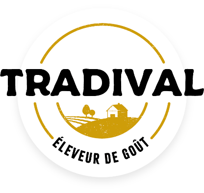 Tradival